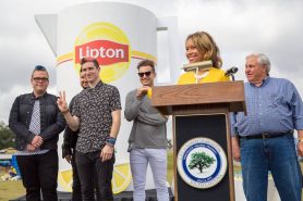 Website Case Study Lipton 2